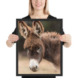 Tableau Ane de Face
