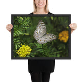 Tableau Ailes de Papillons (Noir et Blanc)