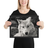 Tableau Déco Loup Noir & Blanc