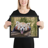 Tableau Design Panda Roux