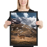 Tableau Alpaga XXL