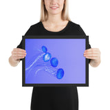 Tableau Animaux de Méduse (Petites Bleues)