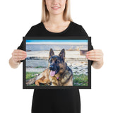 Tableau Animaux Berger Allemand (Langue Pendue)