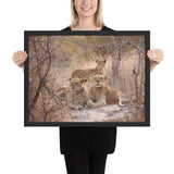 Tableau Famille Lion Savane Sauvage