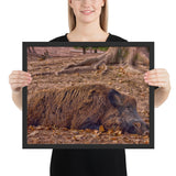 Tableau Sanglier Allongé sur le Sol