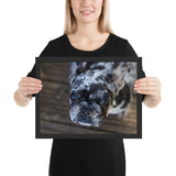 Tableau Bulldog Toile déco