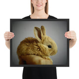 Tableau Animaux Lapin bébé au Pelage Roux