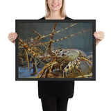 Tableau Homard Tigre