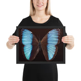 Tableau Animaux Deco Papillon (Bande Bleu)