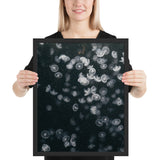 Tableau de Méduse par milliers