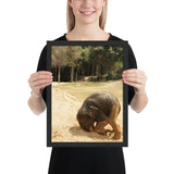 Tableau Animaux Elephant Bebe sur le Sable