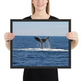Tableau Baleine XXL