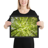 tableau Moderne branche d'arbre eblouissante