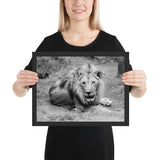 Tableau Animaux Lion Noir et Blanc Roi