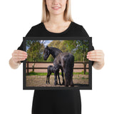 Tableau Moderne Chevaux