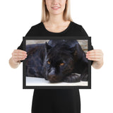 Tableau Animaux Panthère Noire Allongée