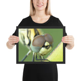 Tableau Libellule (Zoom)