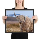 Tableau Vache Highland Blanche