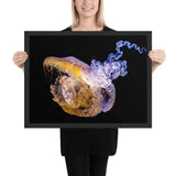 Tableau de Méduse déco