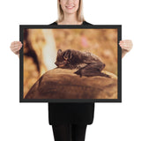 Tableau Chauve Souris endormi