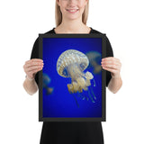 Tableau de Méduse Blanche Nageant