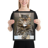 Tableau Animaux Chat Pelage Tigré