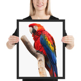 Tableau avec Perroquet Rouge et bleu