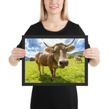 Tableau Vache Aubrac moderne