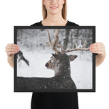 Tableau Caribou De Neige