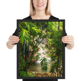 Tableau bambou et cascade sauvage