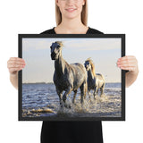 Tableau Animaux Chevaux Galop en Mer