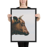 Tableau  de Vache Moderne Oreille percée