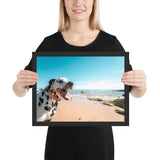 Tableau Dalmatien Balade à la Plage