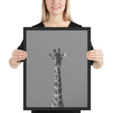 Tableau Girafe Noir et Blanc Immense