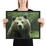 Tableau Grizzly Grosse Tête