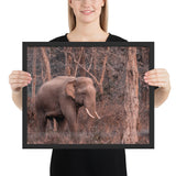 Tableau Eléphant XXL