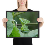 Tableau jungle tropical le cameleon