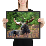 Tableau  Elan se Reposant