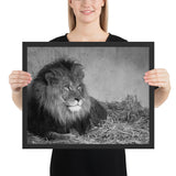 Tableau de Lion Royal en Noir et Blanc