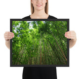 Tableau bambou dans le vent de la jungle