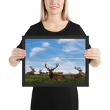 Tableau Animaux Cerf