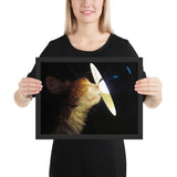 Tableau chat rigolo trop curieux