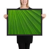 Tableau tropical feuille verte