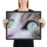 Tableau photo chat sauvage