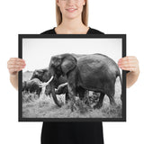 Tableau Eléphant en Noir et Blanc Fort