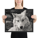 Tableau Photo Loup Noir & Blanc