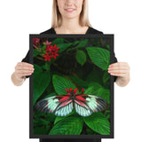 Tableau Deco Papillon sur sa Feuille