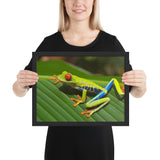 Tableau Animaux Grenouille Vert Citron
