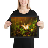 Tableau Animaux de Papillons de Lumière