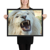 Tableau Lion Blanc Crocs